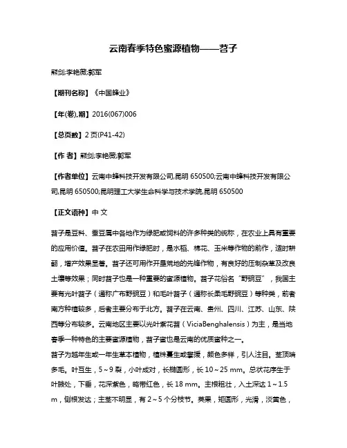 云南春季特色蜜源植物——苕子