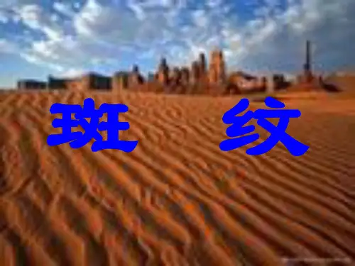 斑纹1