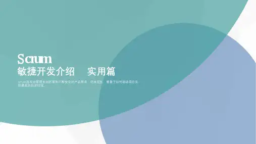 Scrum敏捷开发实践(1)