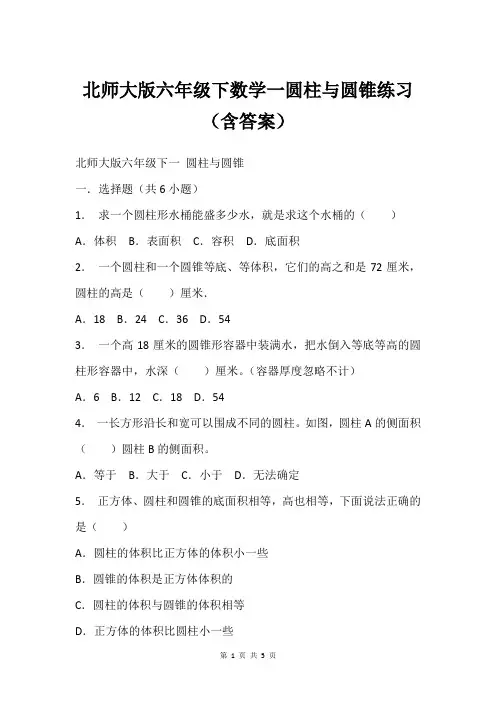 北师大版六年级下数学一圆柱与圆锥练习(含答案)