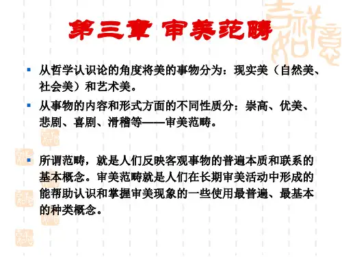 美的基本范畴精选 课件