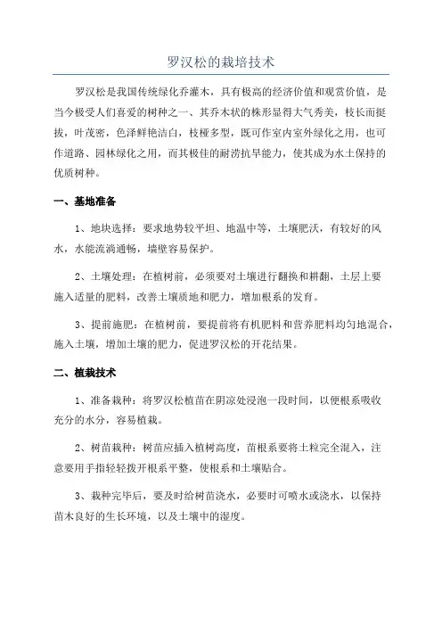 罗汉松的栽培技术