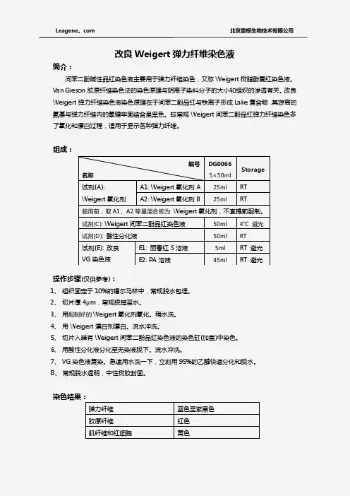 改良Weiger弹力纤维染色液