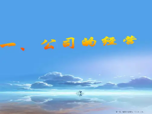 高中政治 5.1 公司的经营课件 新人教版必修1