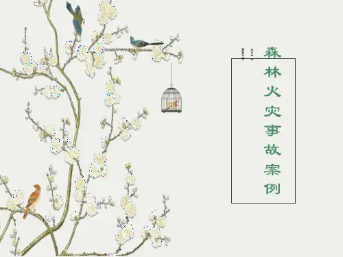 森林火灾事故案例PPT