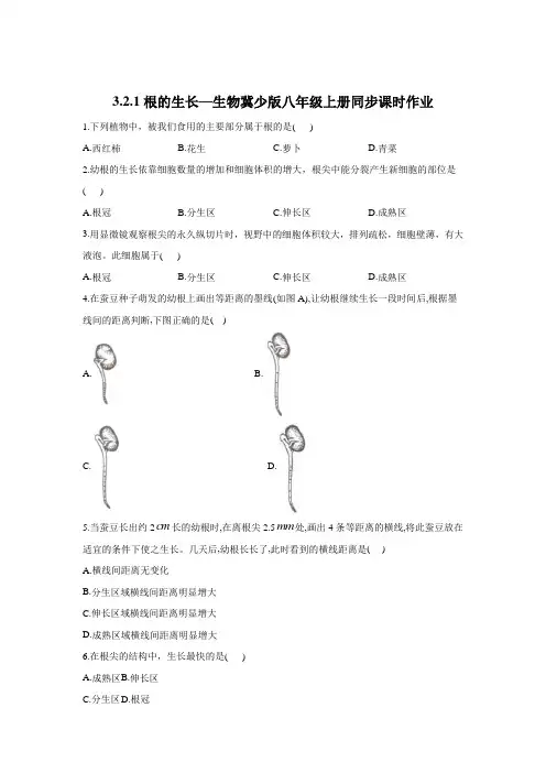 3.2.1根的生长同步课时作业生物冀少版2023-2024学年八年级上册