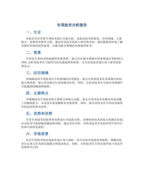 专项技术分析报告