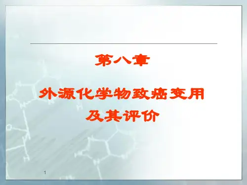 第八章 外源化学物致癌作用