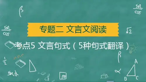 2025年中考语文总复习常考文言文字词归类考点5文言句式(5种句式翻译)
