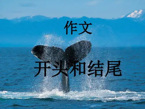 作文开头和结尾