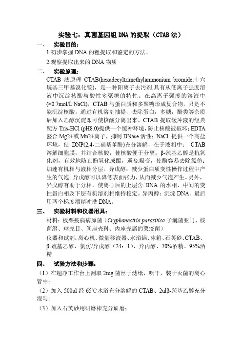 实验七 真菌DNA的提取