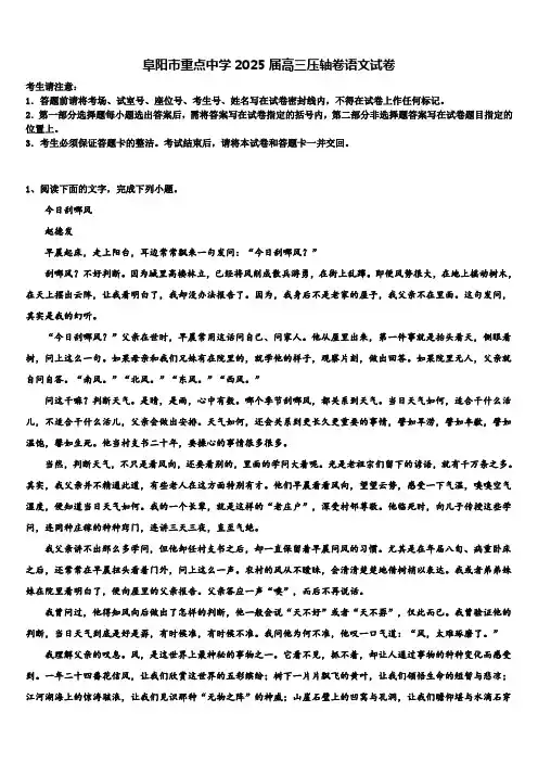 阜阳市重点中学2025届高三压轴卷语文试卷含解析