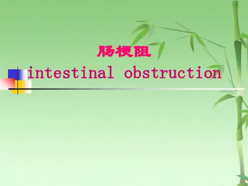 肠梗阻(共31张PPT)