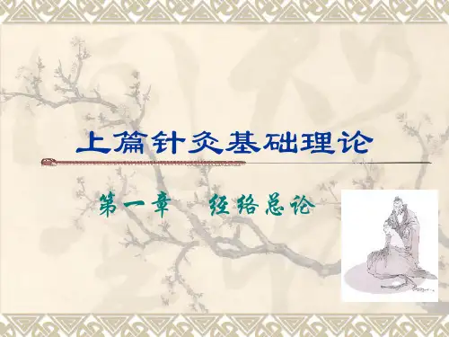 针灸学经络总论
