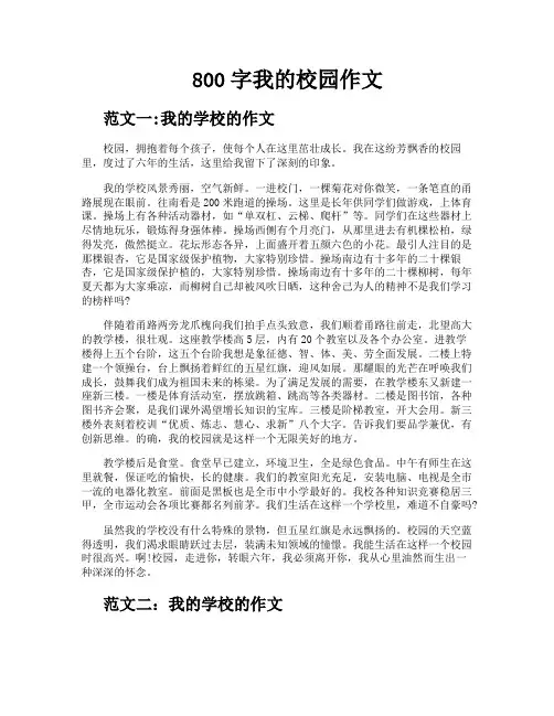 800字我的校园作文