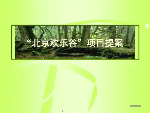 “北京欢乐谷”项目提案分析精品PPT课件