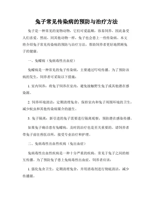 兔子常见传染病的预防与治疗方法