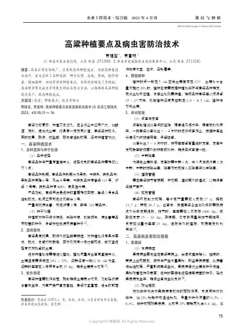高粱种植要点及病虫害防治技术