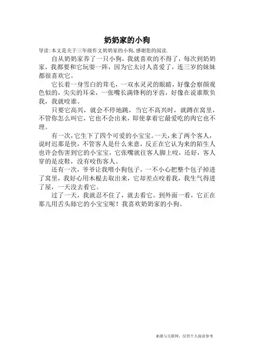 奶奶家的小狗_三年级作文