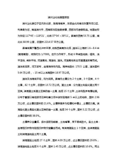 滨州沾化地层图报告