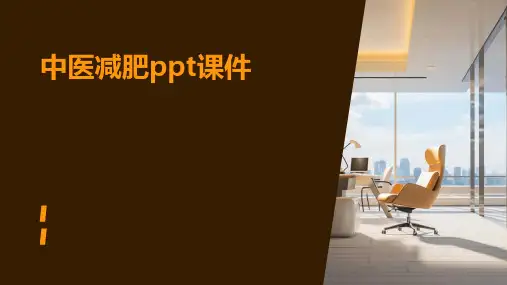 中医减肥ppt课件