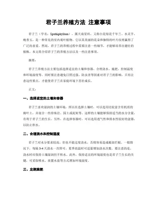 君子兰养殖方法 注意事项