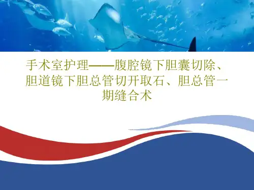 手术室护理——腹腔镜下胆囊切除、胆道镜下胆总管切开取石、胆总管一期缝合术共27页PPT