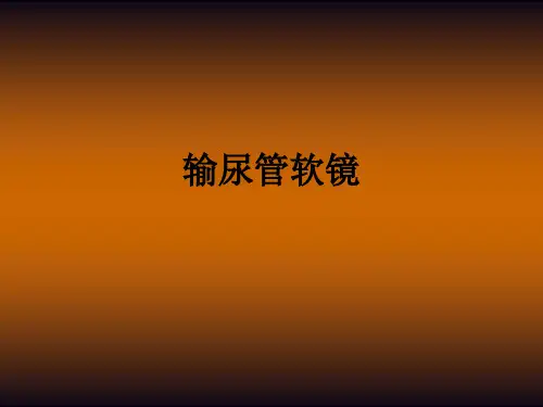 输尿管软镜ppt课件