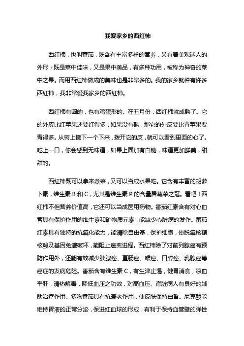 我爱家乡的西红柿