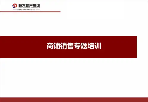 恒大商铺销售培训指南