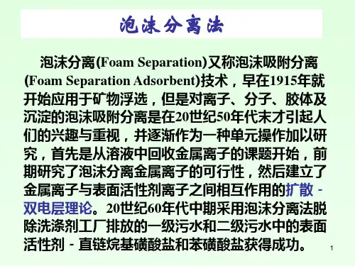 泡沫分离法