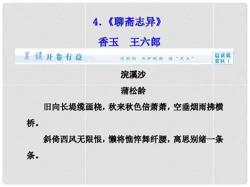 高中语文 2.4《聊斋志异》课件 新人教版选修《中国小说欣赏》