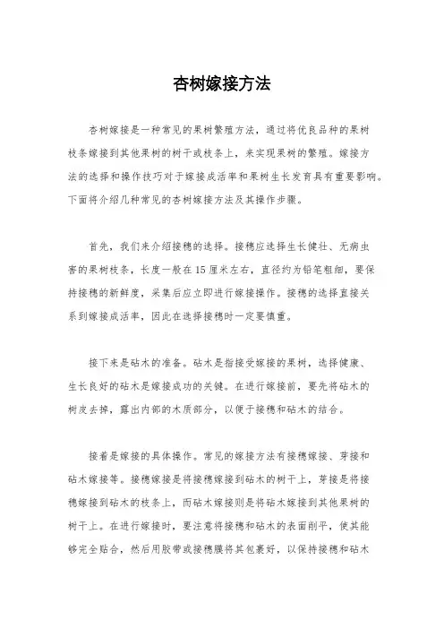 杏树嫁接方法