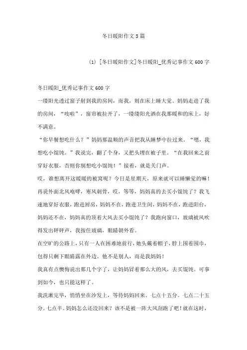 冬日暖阳作文5篇