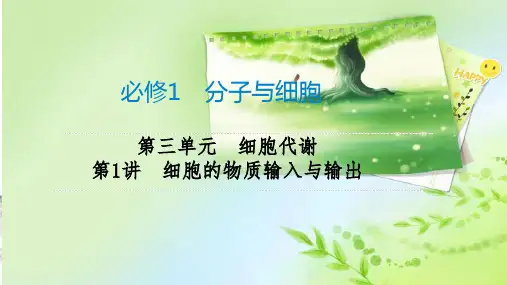 高三生物一轮复习课件：第1讲细胞的物质输入和输出