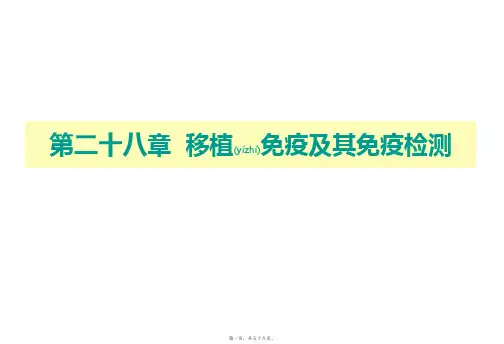 HLA和ABO血型配型课件