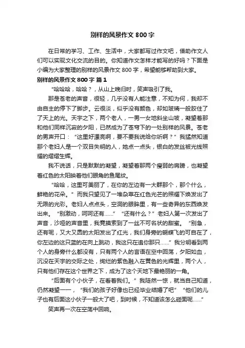别样的风景作文800字（精选39篇）