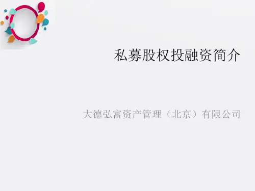 《私募股权融资简介》PPT课件
