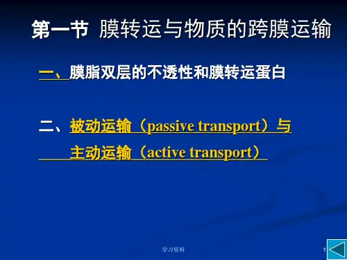 细胞生物学之物质的跨膜运输与信号转导学习资料