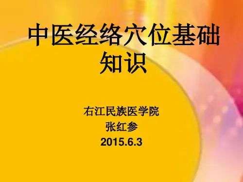 中医经络穴位基础知识