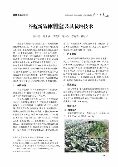 芥蓝新品种利宝及其栽培技术