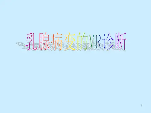 乳腺MRI诊断PPT参考课件
