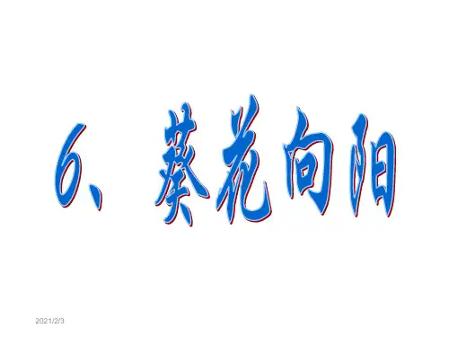五年级上册科学课件-第6课《葵花向阳》｜冀教版 (共18张PPT)