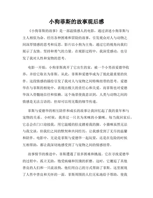 小狗菲斯的故事观后感