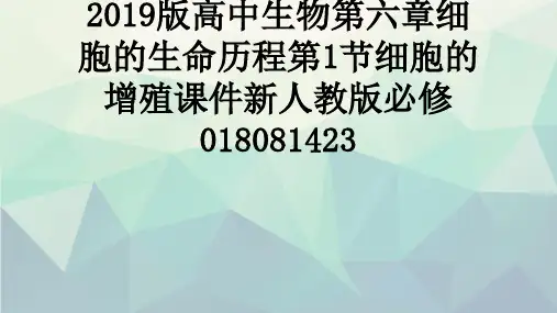 2019版高中生物第六章细胞的生命历程第1节细胞的增殖课件新人教版必修018081423