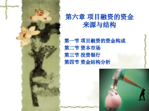 6 第六章 项目融资的资金来源