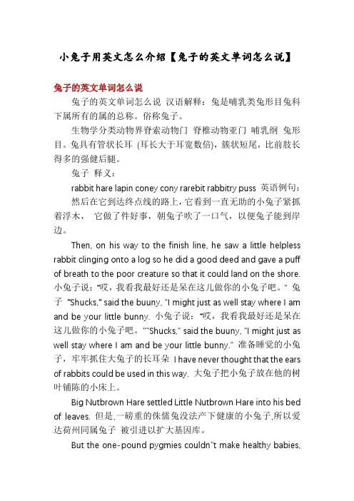小兔子用英文怎么介绍【兔子的英文单词怎么说】