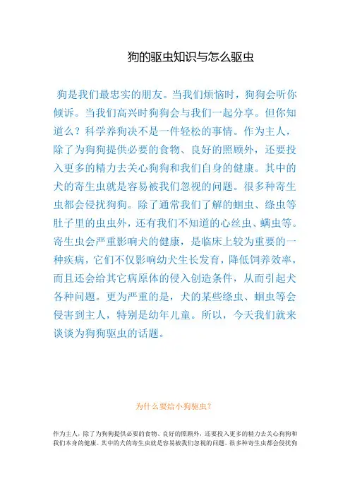 狗的驱虫知识与怎么驱虫