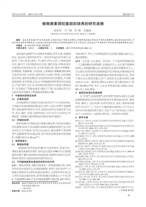 植物激素调控姜组织培养的研究进展