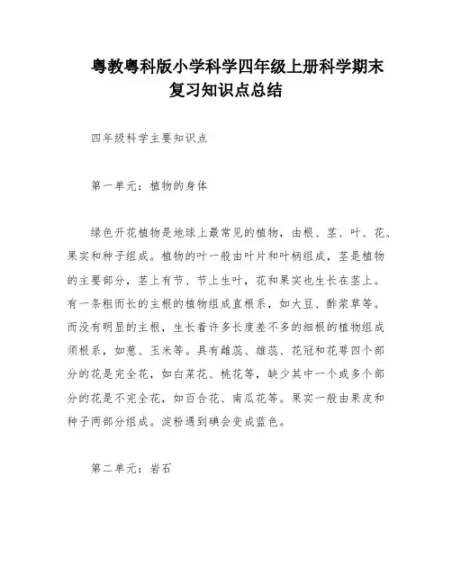 粤教粤科版小学科学四年级上册科学期末复习知识点总结